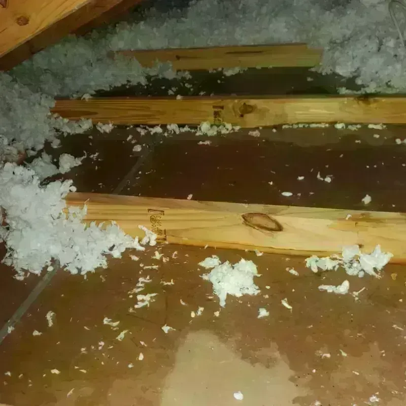 Attic Water Damage in Chatfield, MN