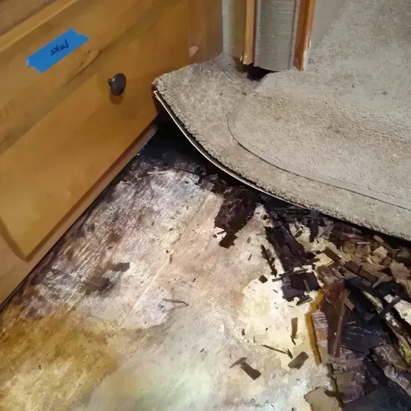 Wood Floor Water Damage in Chatfield, MN